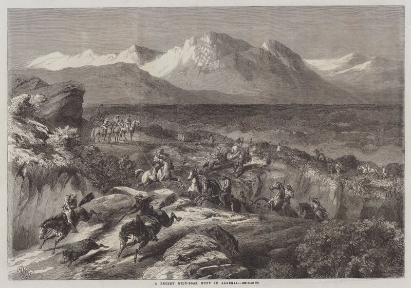 Una recente caccia al cinghiale in Algeria da Harrison William Weir