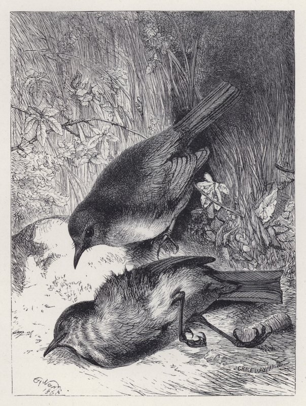 Morte del compagno di Robin da Harrison William Weir