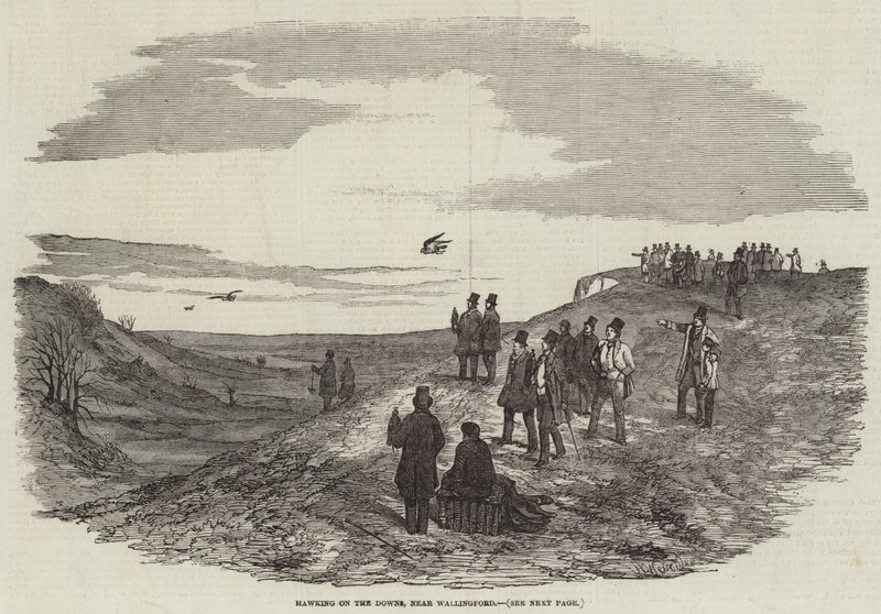 Falconeria sulle colline, vicino a Wallingford da Harrison William Weir
