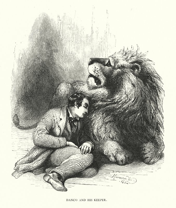 Leone e il suo custode da Harrison William Weir