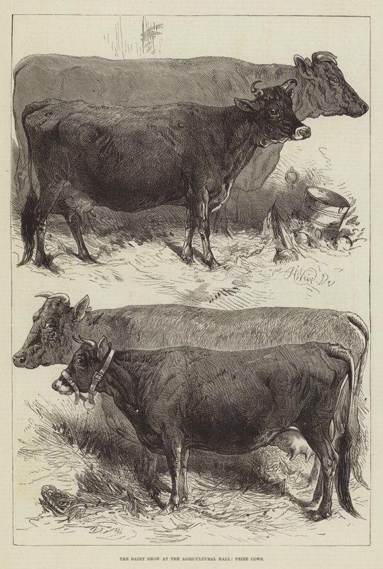La mostra lattiero-casearia all