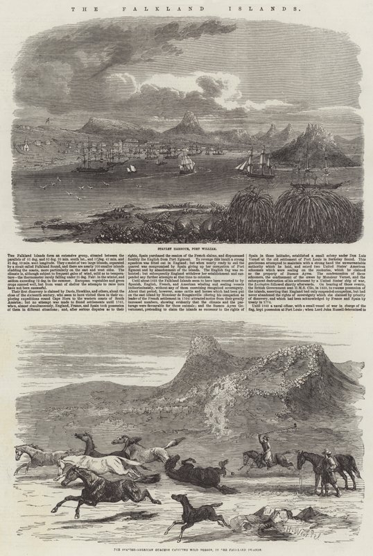 Le Isole Falkland da Harrison William Weir