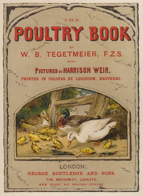 Illustrazione della pagina del titolo per The Poultry Book di W B Tegetmeier da Harrison William Weir
