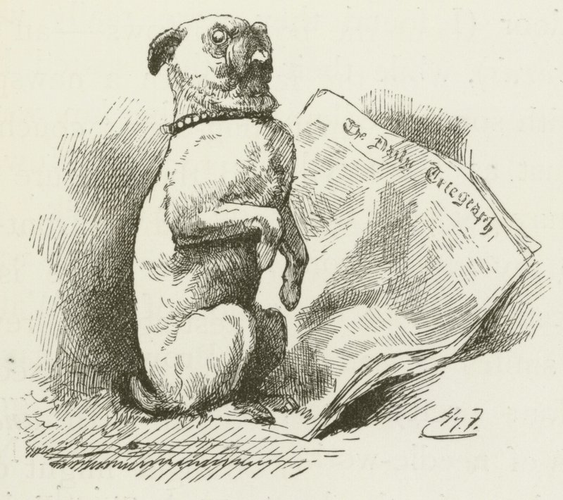 Illustrazione per Sylvie e Bruno di Lewis Carroll da Harry Furniss