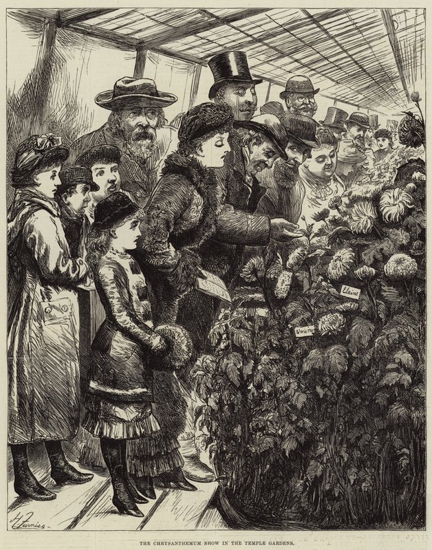 La mostra dei crisantemi nei Giardini del Tempio da Harry Furniss