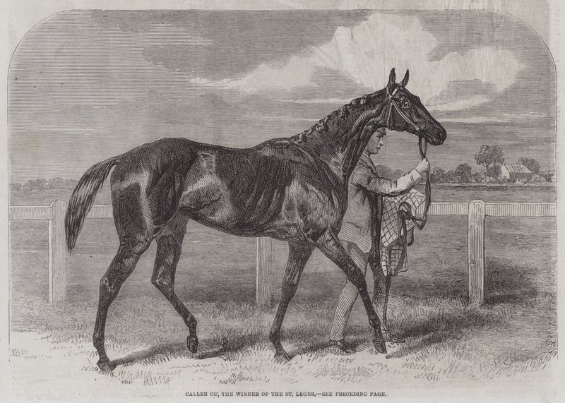 Caller Ou, il vincitore del St Leger da Harry Hall