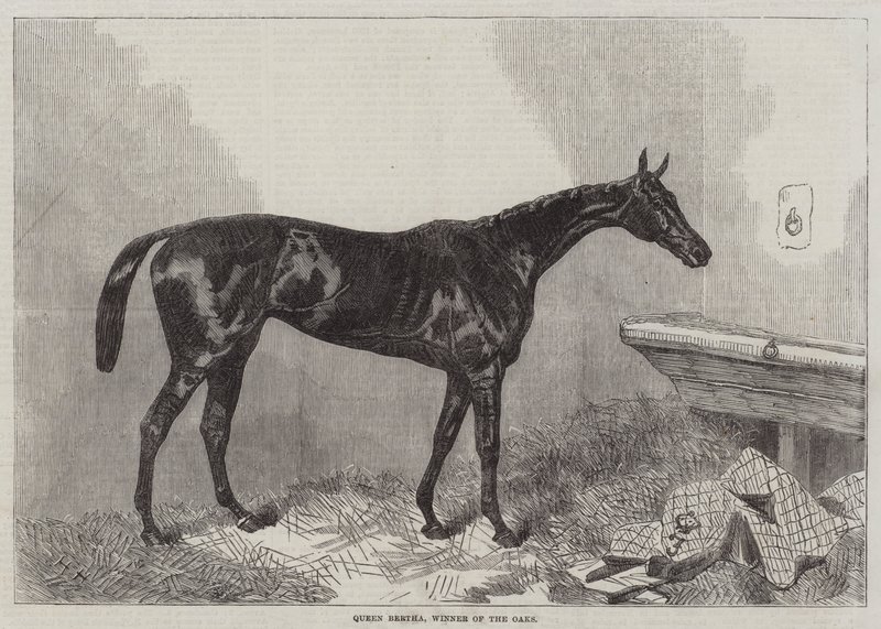 Regina Bertha, vincitrice delle Oaks da Harry Hall