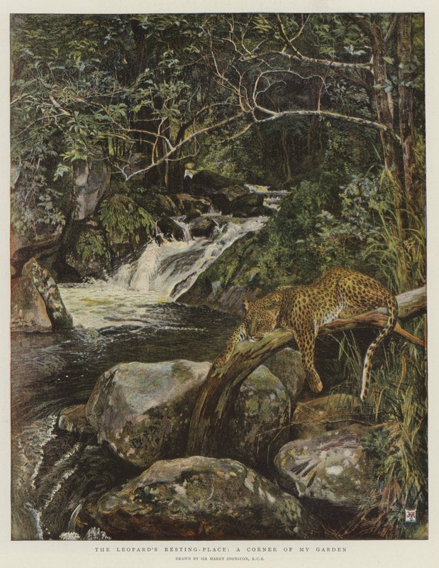 Il luogo di riposo del leopardo, un angolo del mio giardino da Harry Hamilton Johnston