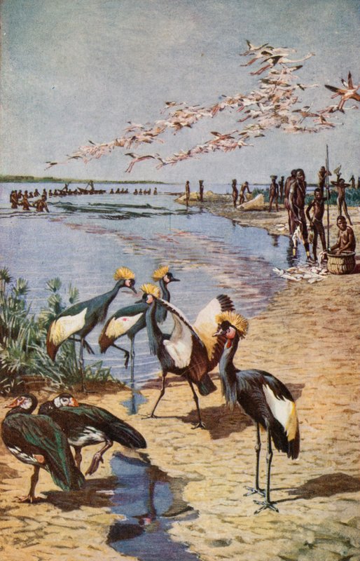Le rive settentrionali del Lago Ciad, viste da Denham nel 1822 da Harry Hamilton Johnston