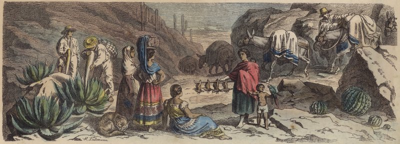 Una strada di montagna in Messico da Heinrich Leutemann