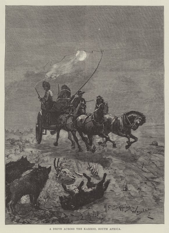 Un viaggio attraverso il Karroo, Sudafrica da Henry Charles Seppings Wright