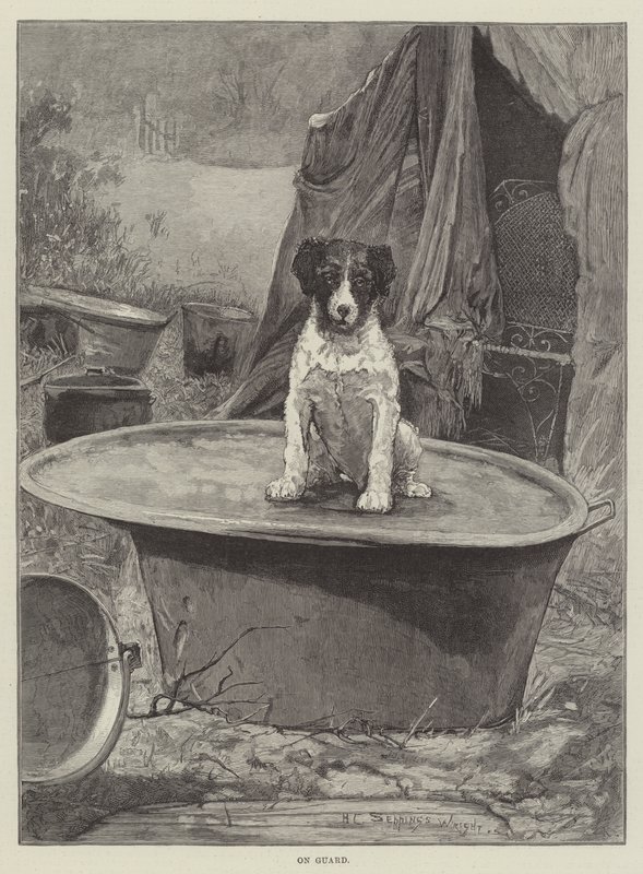 Di guardia da Henry Charles Seppings Wright