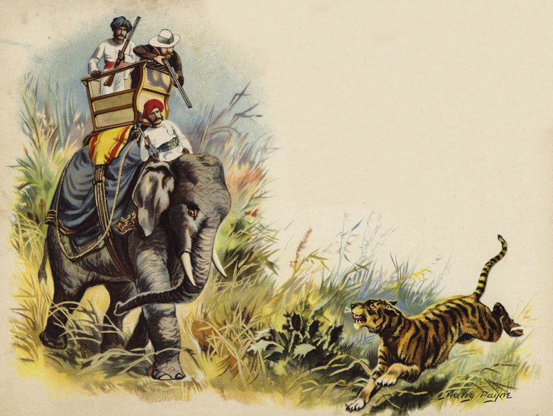 Il principe di Galles a caccia di tigri durante il tour reale in India, 1905 da Henry Payne
