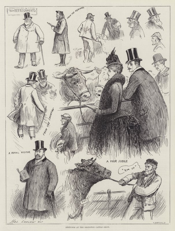 Schizzi alla Mostra del Bestiame di Islington da Henry Stephen Ludlow