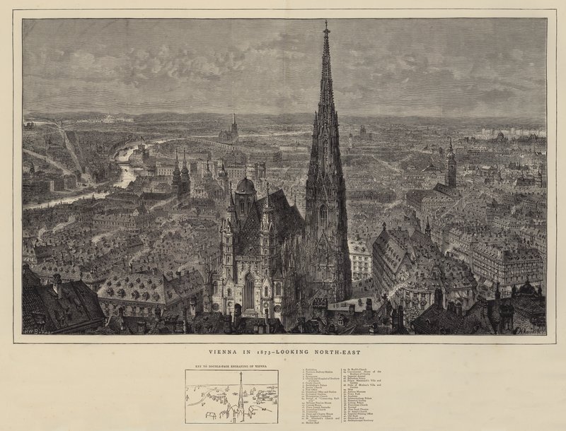 Vienna nel 1873, vista verso nord-est da Henry William Brewer