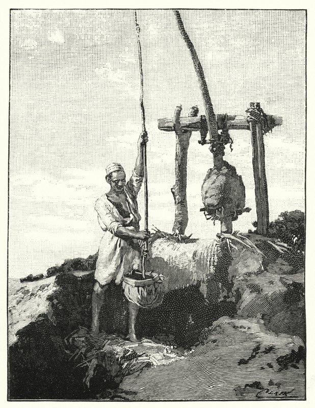 Metodo di estrazione dell