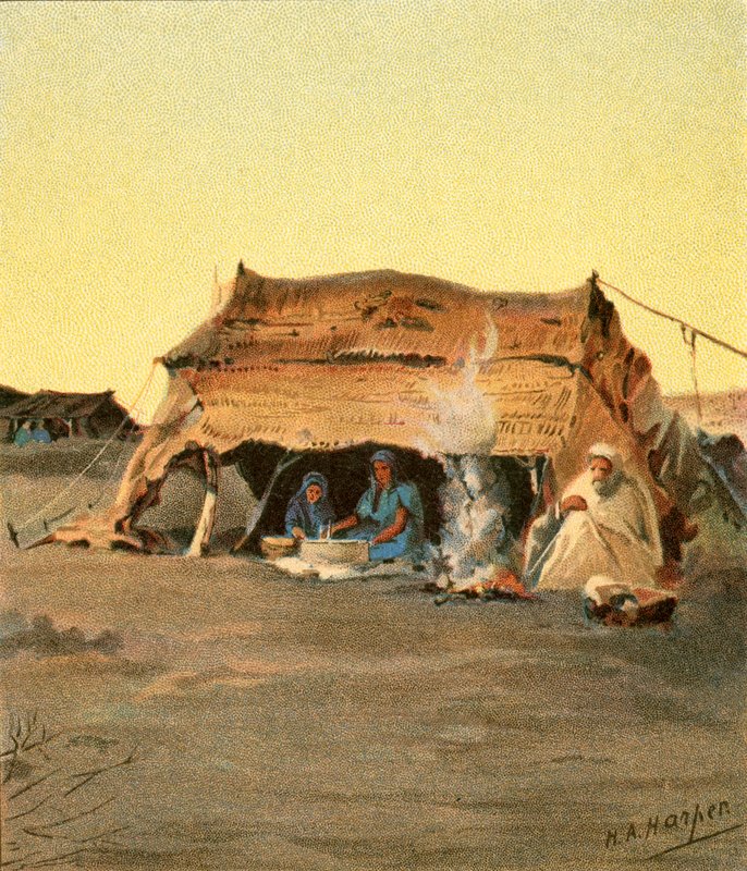 Vita da tenda da Henry Andrew Harper