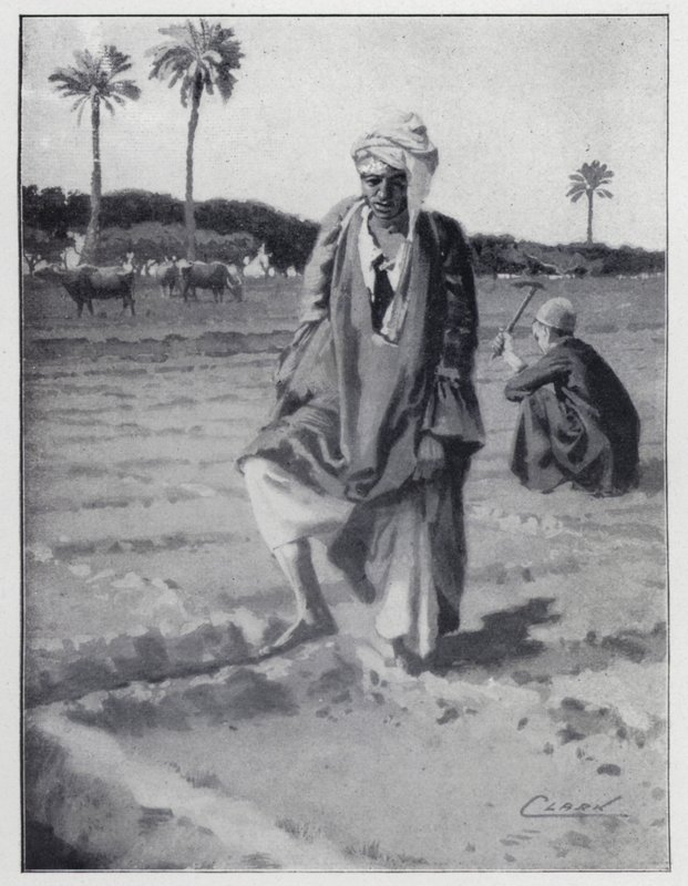 Innaffiamento con il piede a Giza, Egitto da Henry Andrew Harper