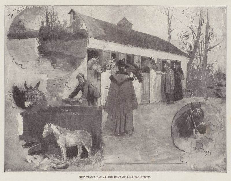 Capodanno alla Casa di Riposo per Cavalli da Henry Charles Seppings Wright
