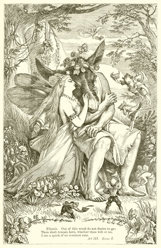 Sogno di una notte di mezza estate da Henry Courtney Selous