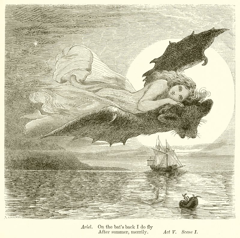 La tempesta da Henry Courtney Selous