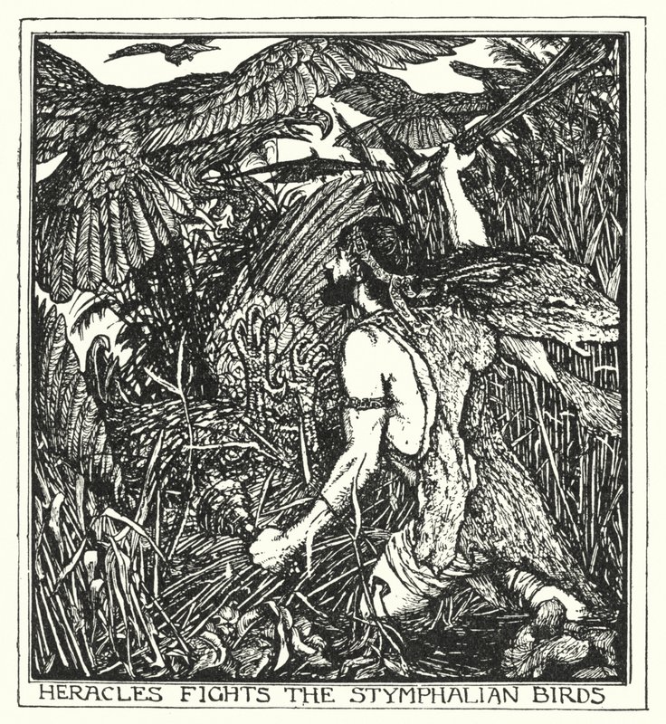 Eracle combatte gli uccelli Stinfalidi (litografia) da Henry Justice Ford