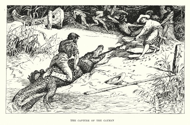 La cattura del caimano da Henry Justice Ford