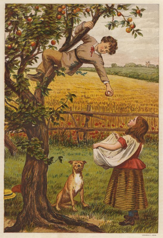 Raccolta di mele da Henry Robert Robertson