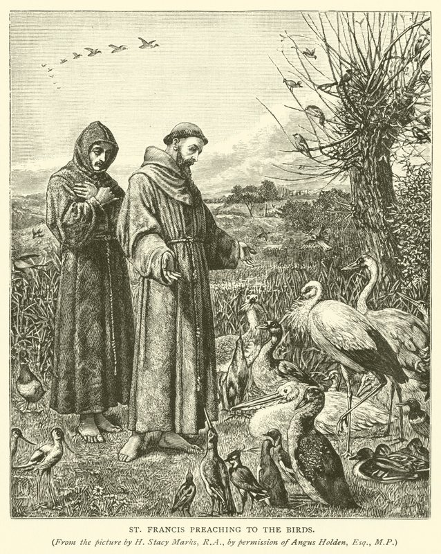 San Francesco che predica agli uccelli da Henry Stacey Marks