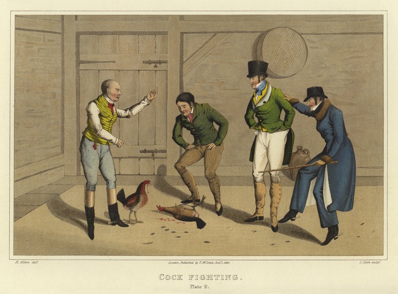 Combattimento di galli da Henry Thomas Alken