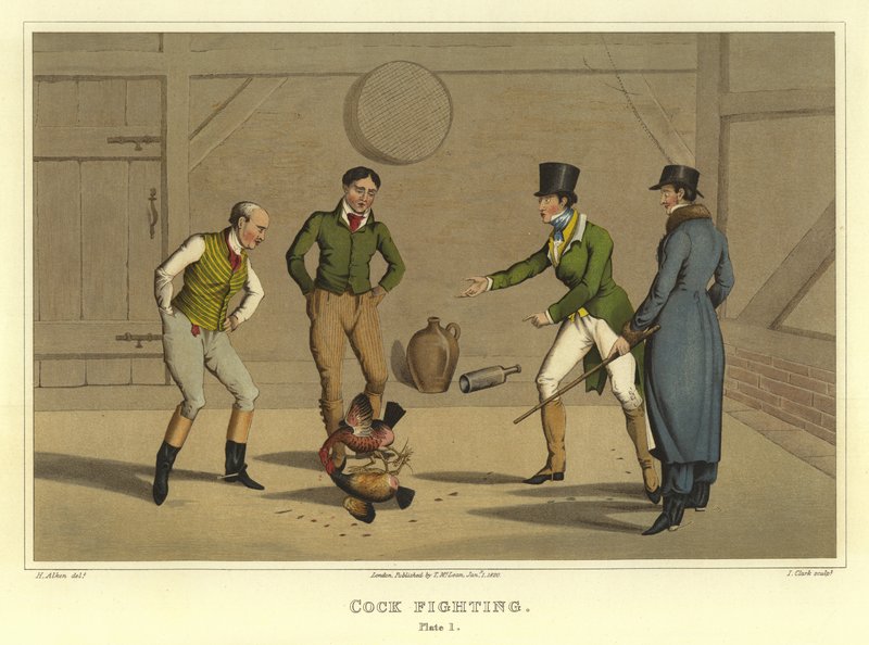 Combattimento di galli (cromolitografia) da Henry Thomas Alken