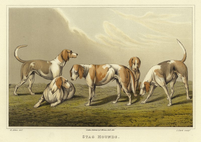 Cani da caccia (cromolitografia) da Henry Thomas Alken