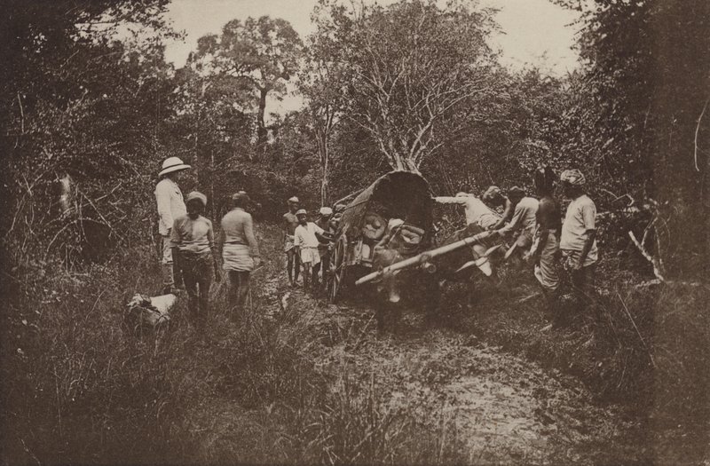 Città rovinate di Ceylon: In viaggio verso Polonnaruwa da Henry W. Cave