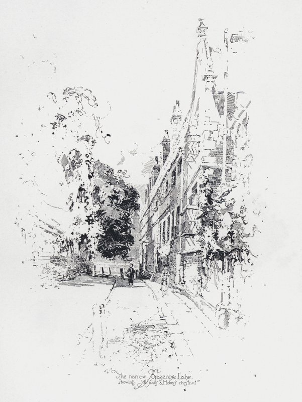 Il vicolo stretto di Brasenose, Oxford, che mostra il College di All Souls e il castagno di Reginald Heber da Herbert (after) Railton