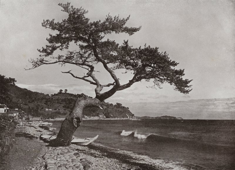 Atami da Herbert Ponting