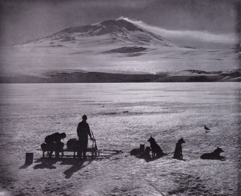 Slitta e cani, con il Monte Erebus sullo sfondo da Herbert Ponting