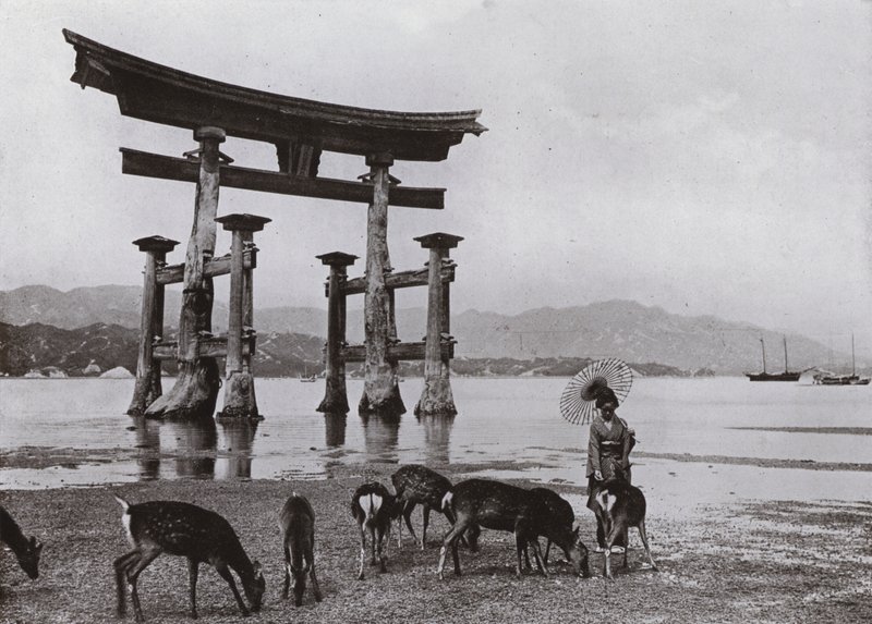 Il vecchio Torii a Miyajima da Herbert Ponting