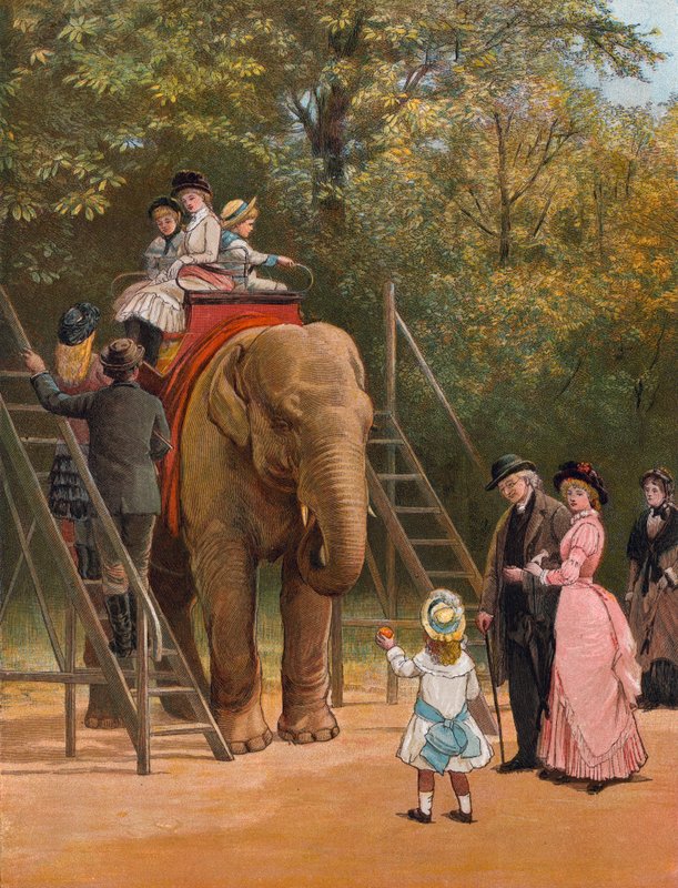 Una vacanza estiva da Heywood Hardy
