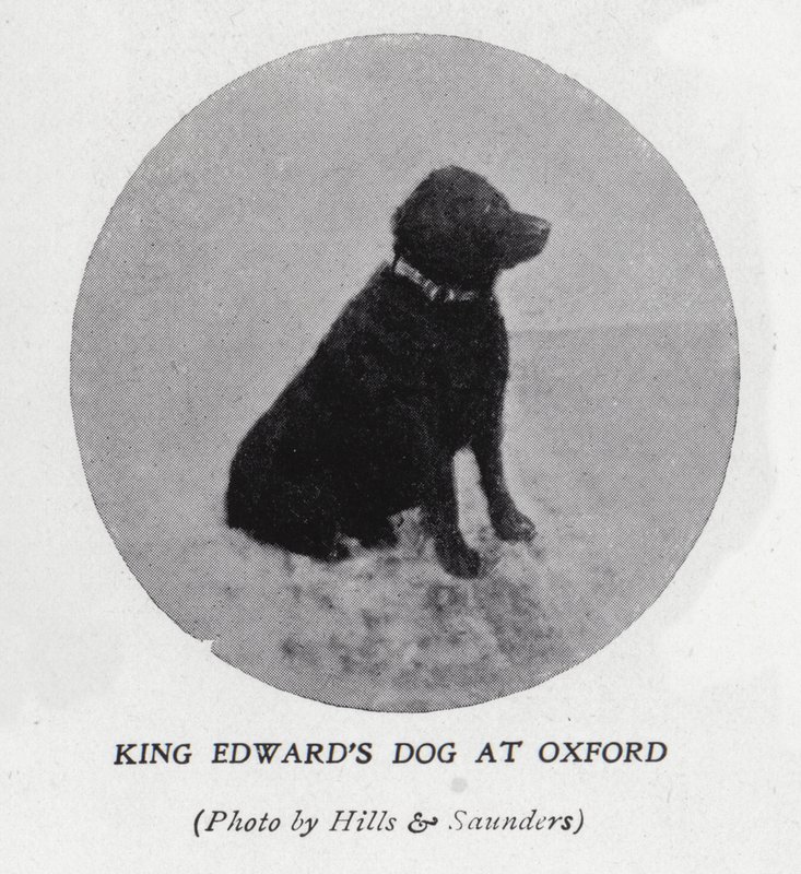 Il cane di re Edoardo VII all
