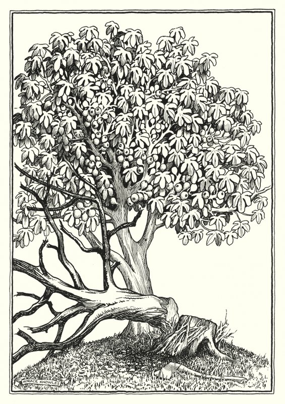 Illustrazione del Discorso della montagna (incisione) da Horace J. Knowles