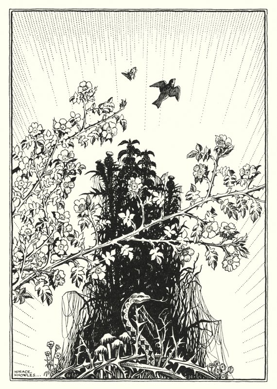 Illustrazione del Discorso della montagna (incisione) da Horace J. Knowles