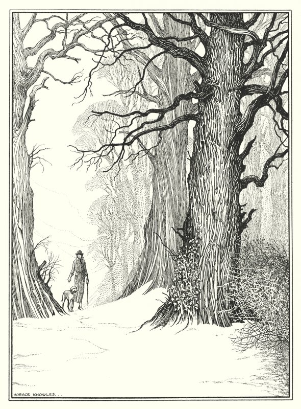 Gennaio (litografia) da Horace J. Knowles