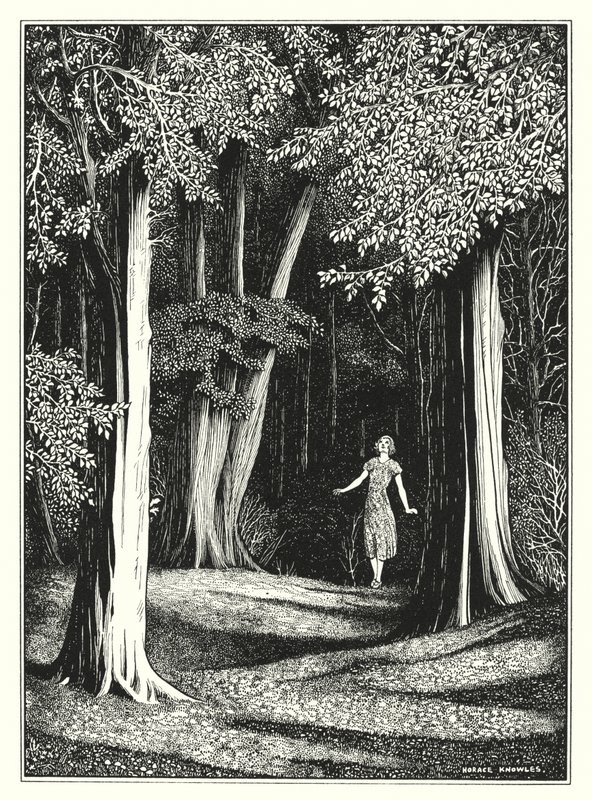 Luglio (litografia) da Horace J. Knowles