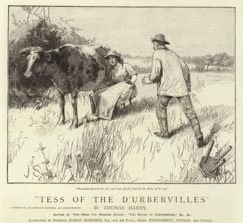 Tess dei d