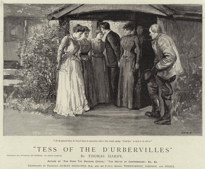 Tess dei d