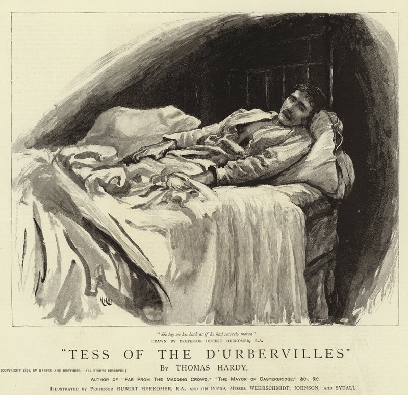 Tess dei D