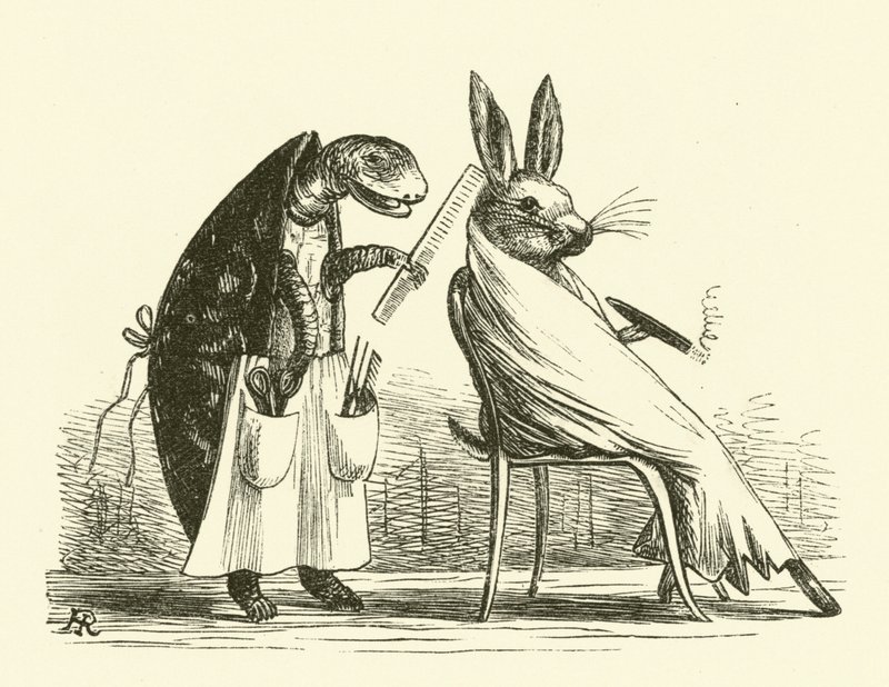La tartaruga e la lepre da Hugh Rowley