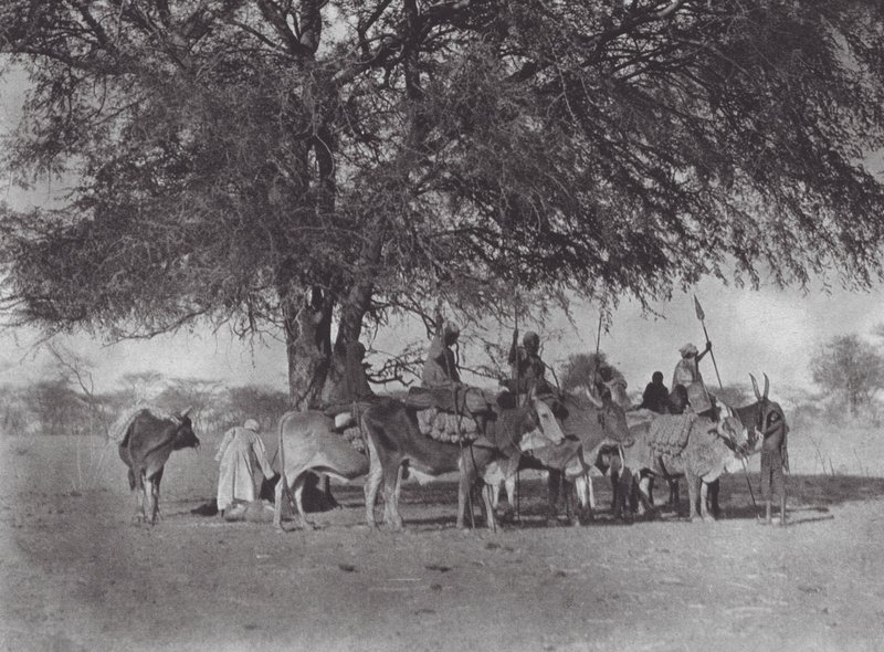 Africa: Carovana di cavalieri di buoi sul Nilo Bianco (foto in b/n) da Hugo Adolf Bernatzik