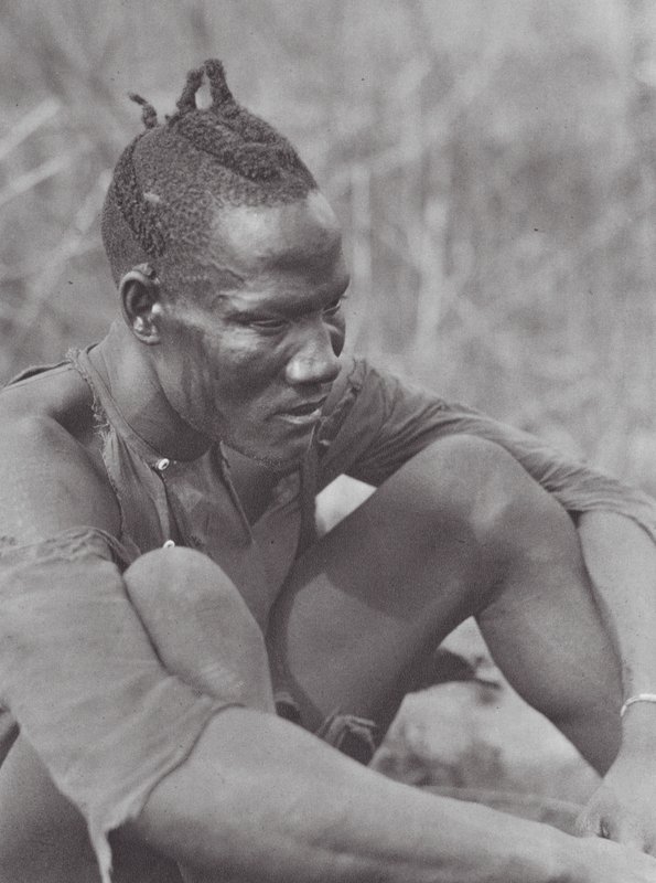 Africa: Djur orientale da Hugo Adolf Bernatzik