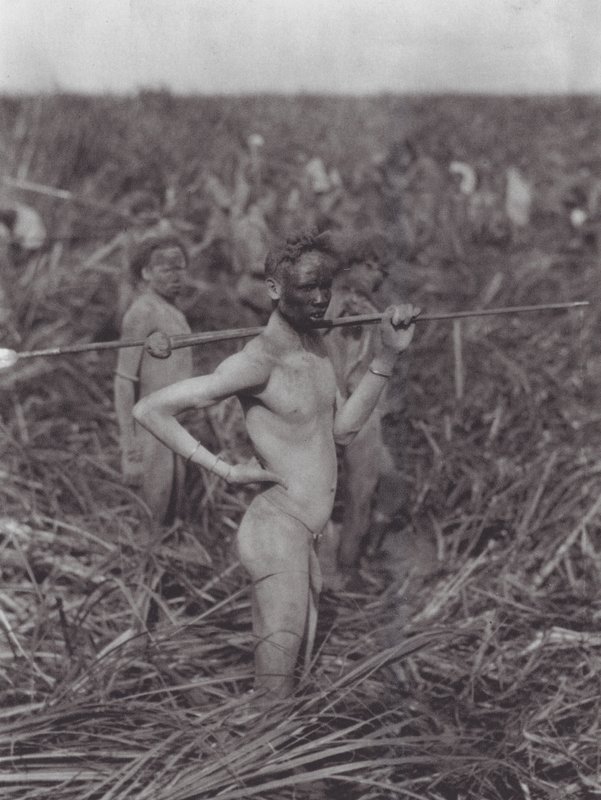 Africa: Guerrieri Nuer nella palude da Hugo Adolf Bernatzik